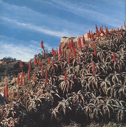 Wish u were here xxx